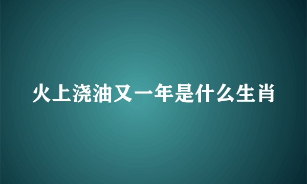 火上浇油又一年是什么生肖