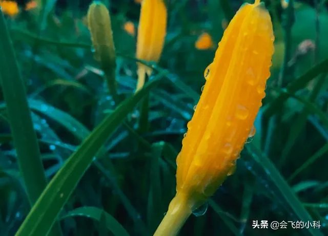 怎样保障二手数码是正品?