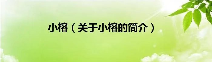 小榕（关于小榕的简介）