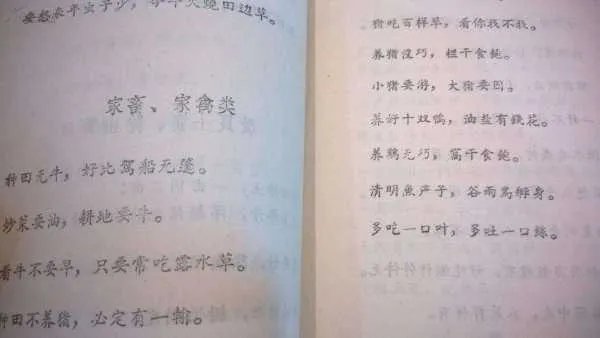 农谚大全