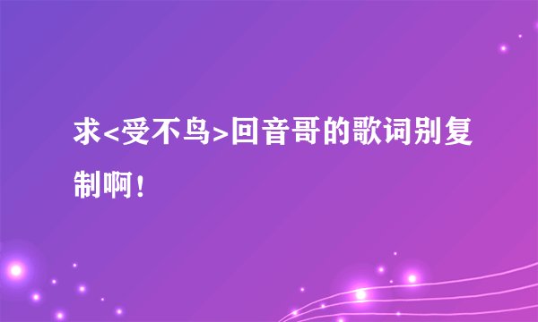 求<受不鸟>回音哥的歌词别复制啊！