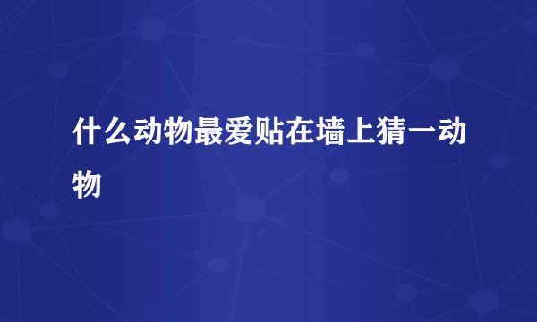 什么动物最爱贴在墙上猜一动物