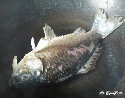 怎样熬鲫鱼汤?