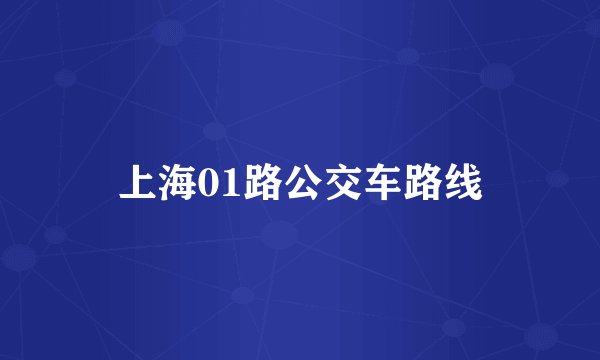 上海01路公交车路线
