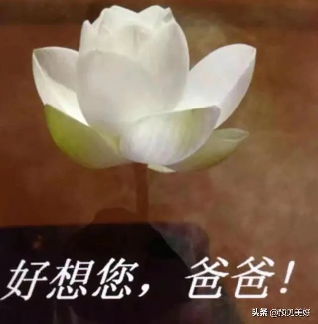 父亲病逝感觉丢了魂是为什么