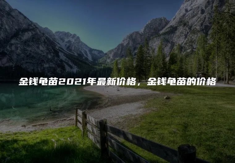 金钱龟苗2021年最新价格，金钱龟苗的价格