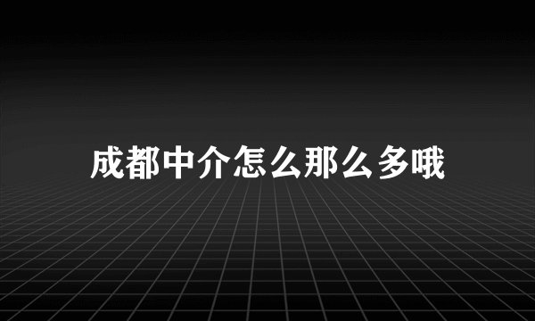 成都中介怎么那么多哦