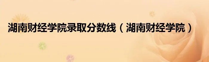 湖南财经学院录取分数线（湖南财经学院）