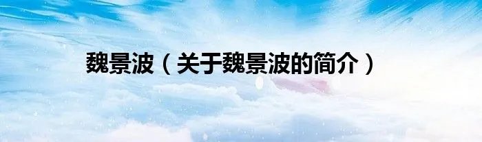 魏景波（关于魏景波的简介）