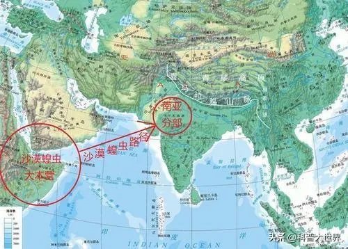 非洲蝗虫成灾,已影响印度和巴基斯坦,会传入中国吗?
