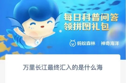 万里长江最终汇入的是什么海