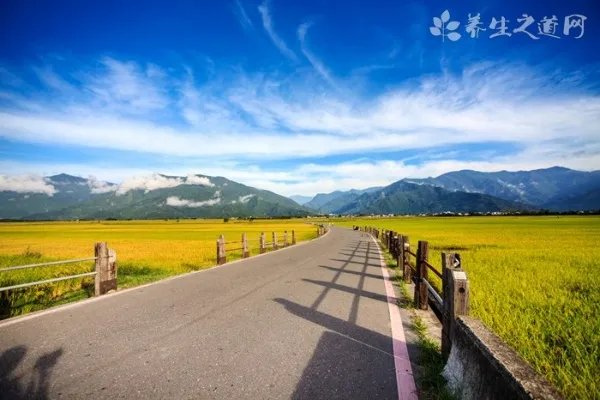 观音莲