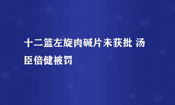 十二篮左旋肉碱片未获批 汤臣倍健被罚
