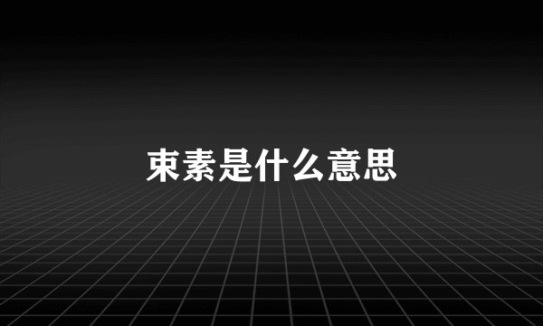 束素是什么意思