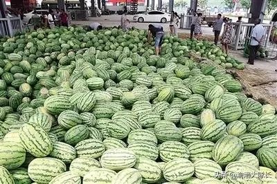 重庆哪个水果批发市场最大啊？