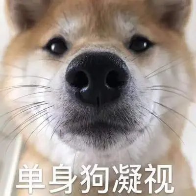 520单身狗图片大全2022 单身狗搞笑图片分享