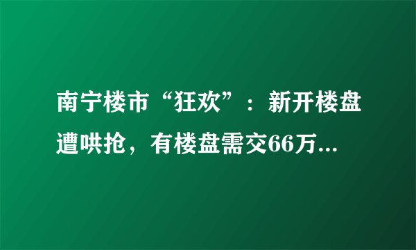 南宁楼市“狂欢”:新开楼盘遭哄抢,有楼盘需交66万“团购费”才能交首付,这笔钱不在合同内也没有收据。你怎么看?