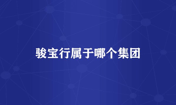 骏宝行属于哪个集团