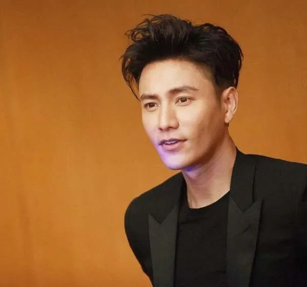 陈坤多年来保守住儿子生母是谁,陈坤儿子生母到底是不是何琳?