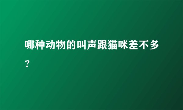 哪种动物的叫声跟猫咪差不多？
