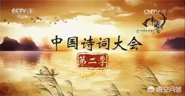 如何看待电视娱乐节目?