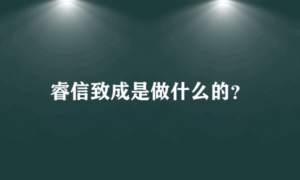 睿信致成是做什么的？