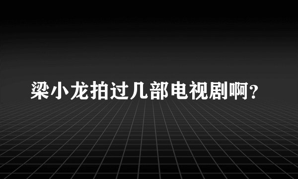 梁小龙拍过几部电视剧啊？