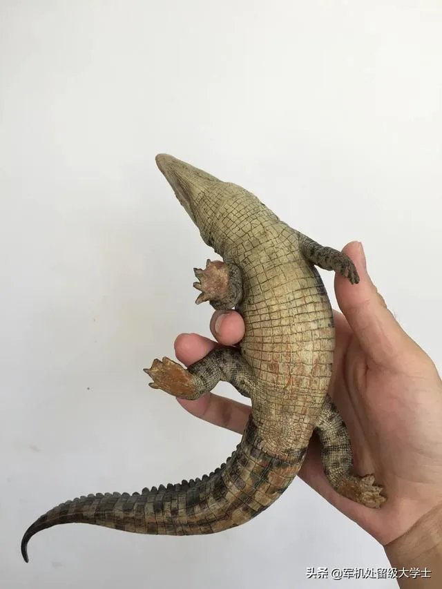 科莫多巨蜥与非洲鳄哪个更厉害?