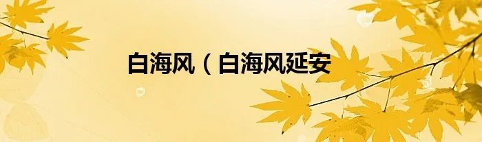 白海风（白海风延安