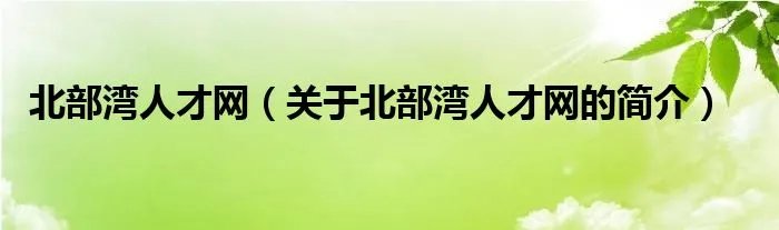北部湾人才网（关于北部湾人才网的简介）