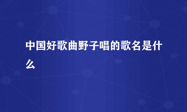 中国好歌曲野子唱的歌名是什么