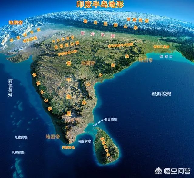 非洲蝗虫成灾,已影响印度和巴基斯坦,会传入中国吗?