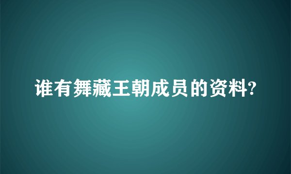 谁有舞藏王朝成员的资料?