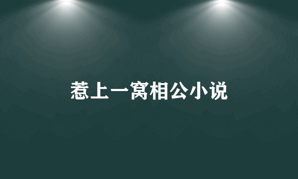 惹上一窝相公小说