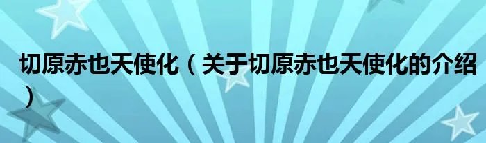 切原赤也天使化（关于切原赤也天使化的介绍）