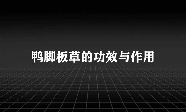 鸭脚板草的功效与作用