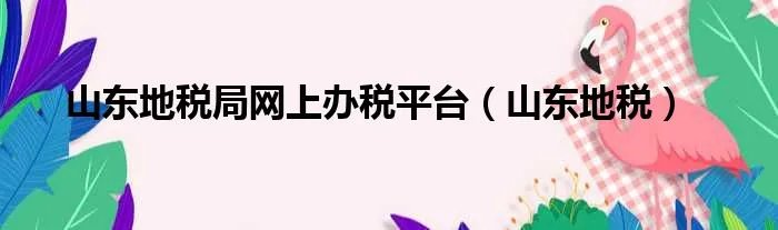 山东地税局网上办税平台（山东地税）