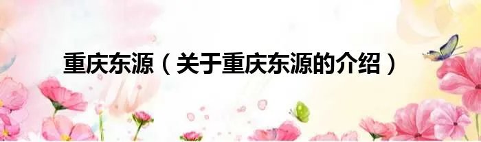 重庆东源（关于重庆东源的介绍）