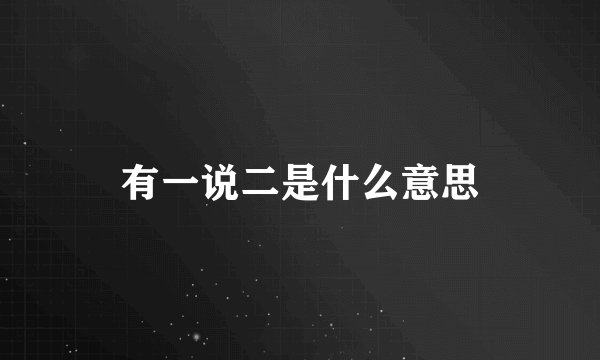有一说二是什么意思