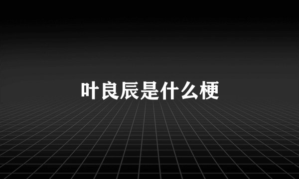 叶良辰是什么梗