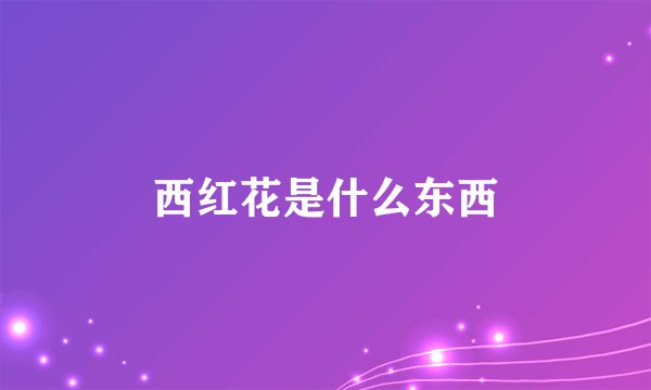 西红花是什么东西