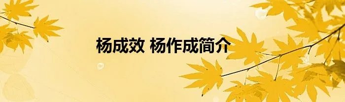 杨成效 杨作成简介