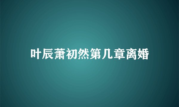 叶辰萧初然第几章离婚