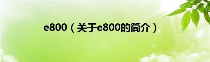 e800（关于e800的简介）