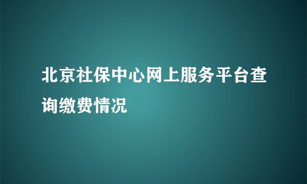 北京社保中心网上服务平台查询缴费情况