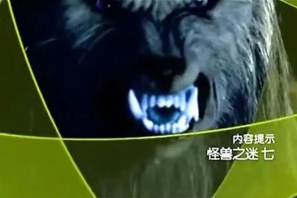 怪兽之谜为什么不播了?太过诡异(真实的令人害怕)