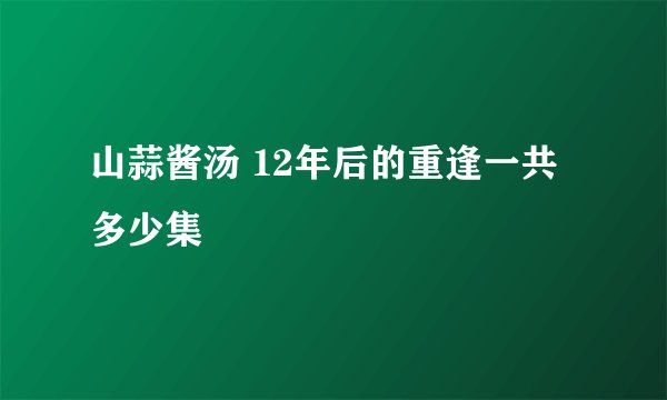 山蒜酱汤 12年后的重逢一共多少集