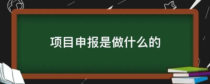 项目申报是做什么的