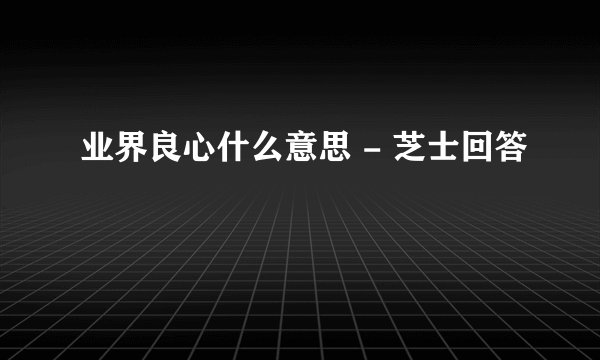 业界良心什么意思 - 芝士回答