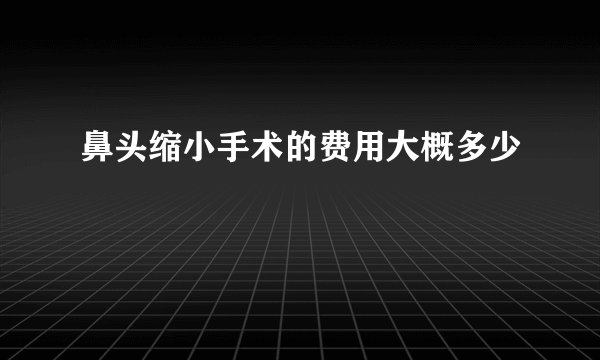 鼻头缩小手术的费用大概多少